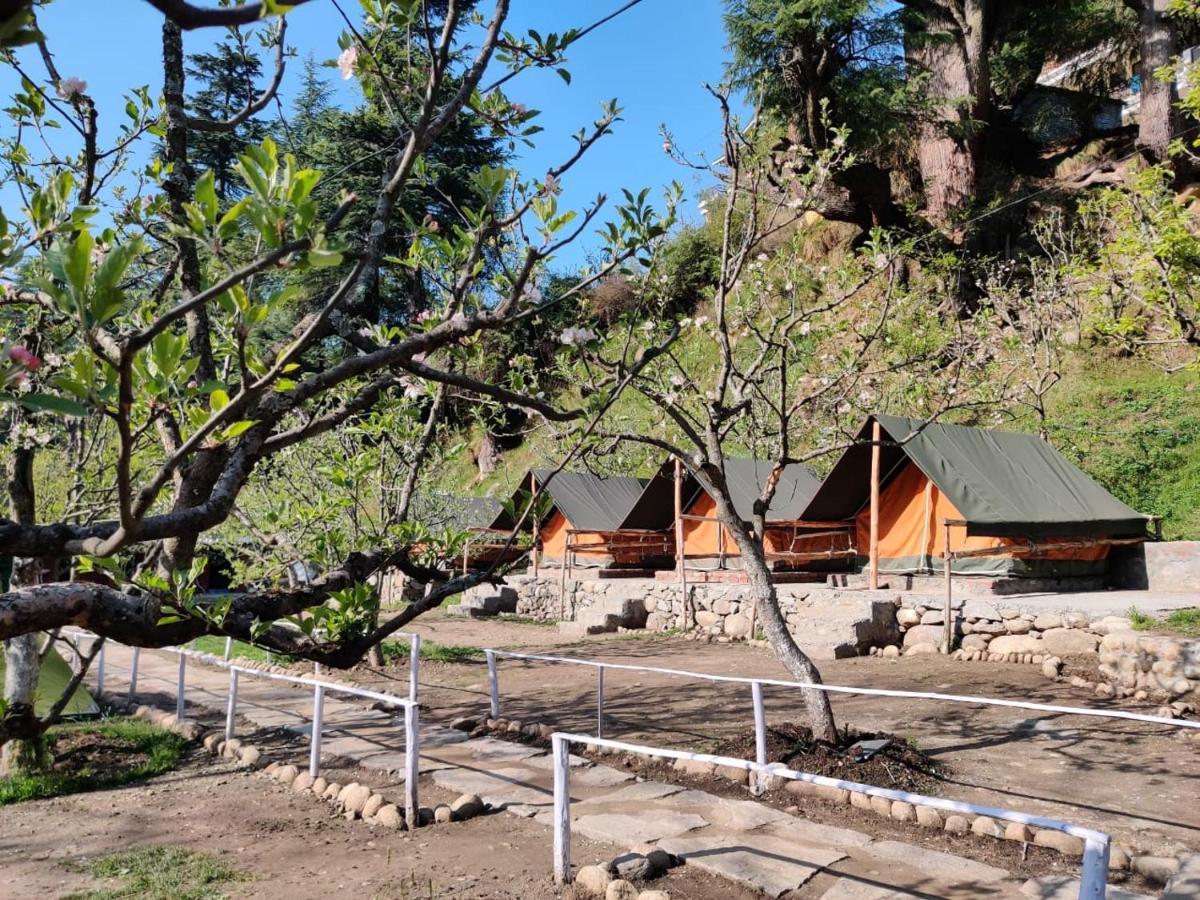Himtrek Riverside Camps & Hostel Manali 外观 照片