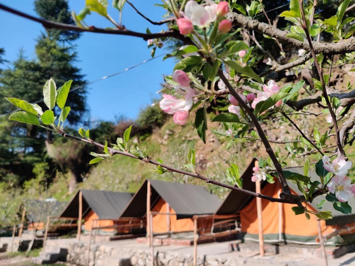 Himtrek Riverside Camps & Hostel Manali 外观 照片