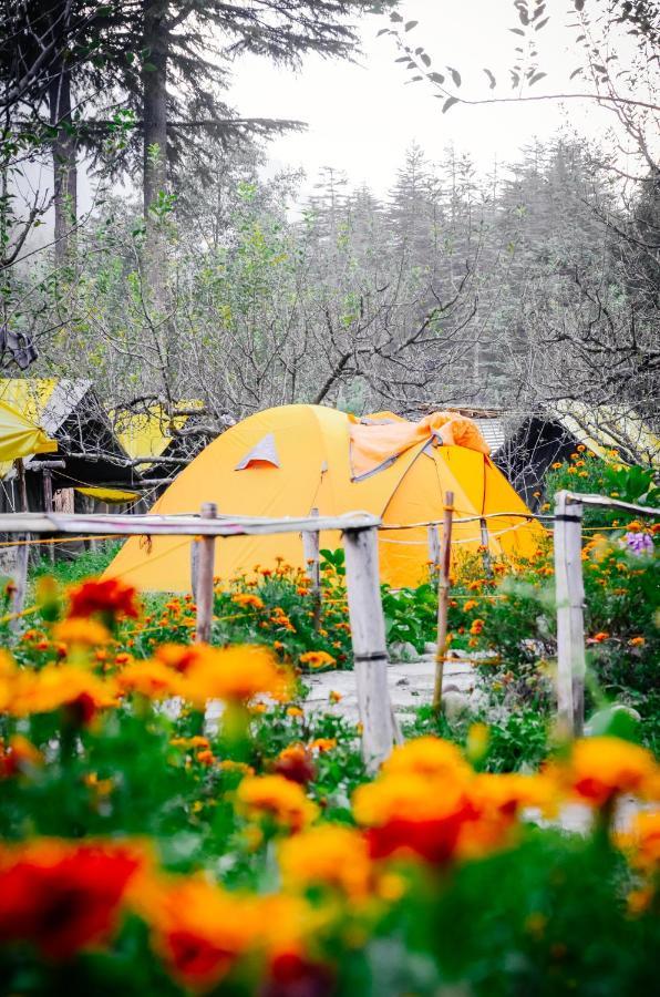Himtrek Riverside Camps & Hostel Manali 外观 照片