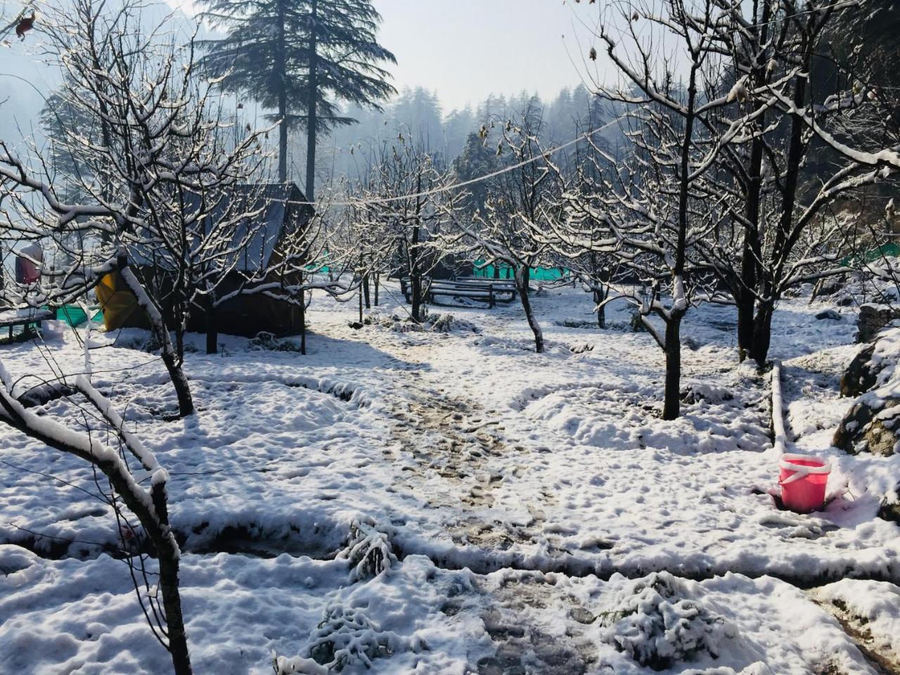 Himtrek Riverside Camps & Hostel Manali 外观 照片