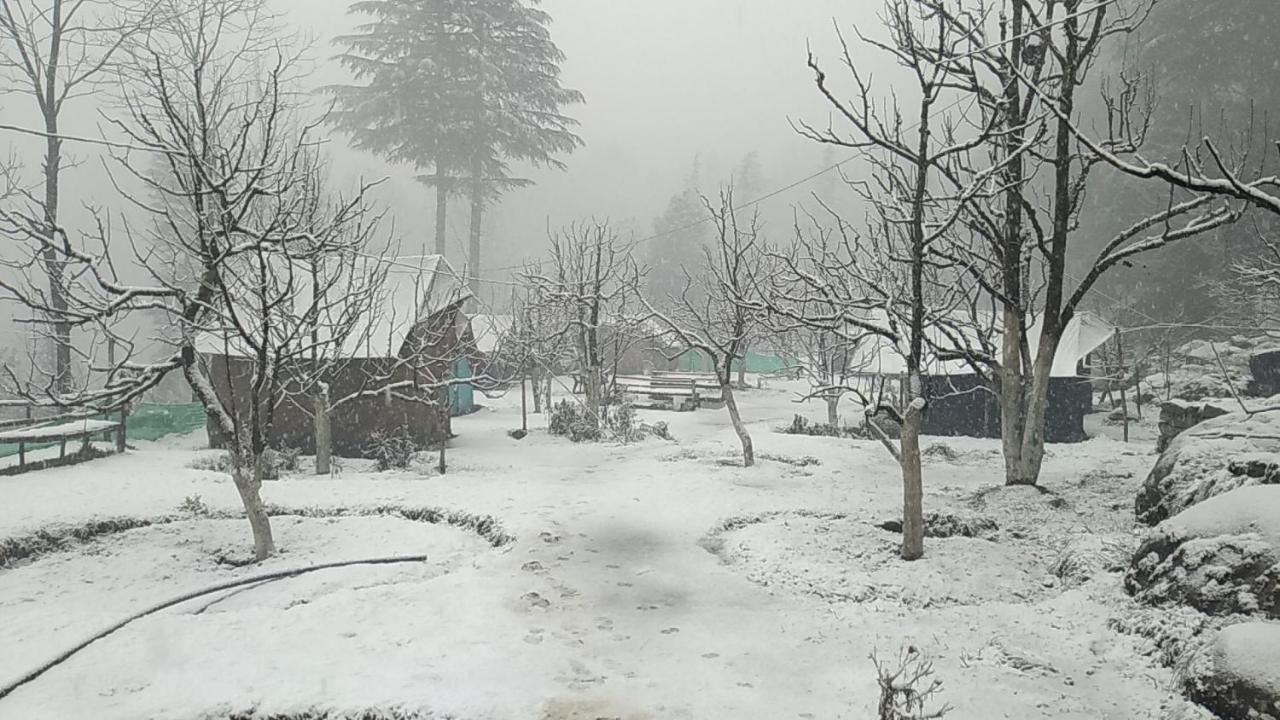 Himtrek Riverside Camps & Hostel Manali 外观 照片